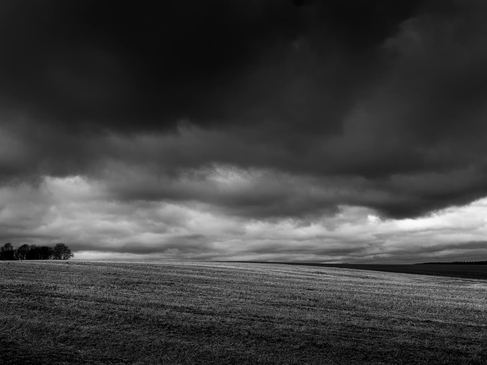 Fields av Jakob Evers