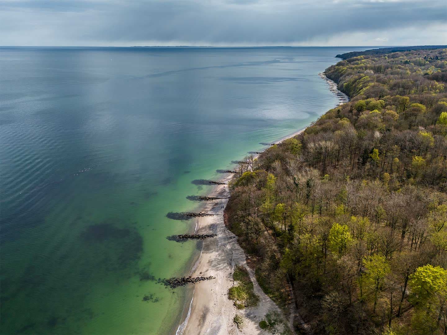 Marselisborg Skov av Kenneth Bagge