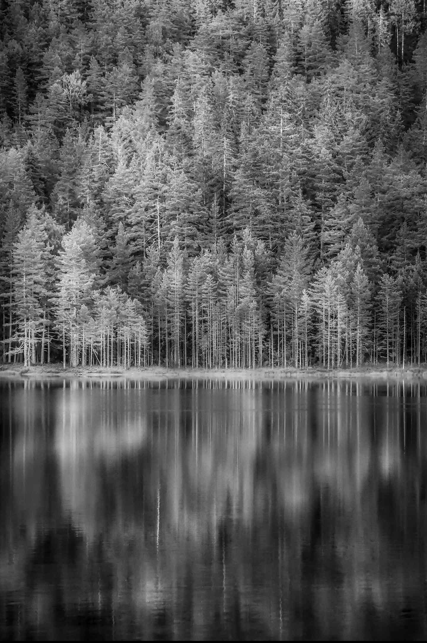 Norwegian Woods av Kenneth Bagge