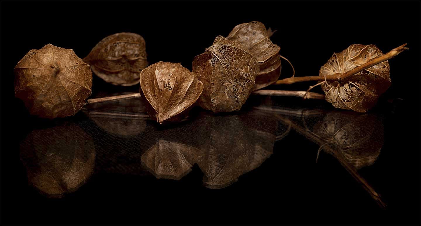 Physalis I av Cato Johan Rød Photography