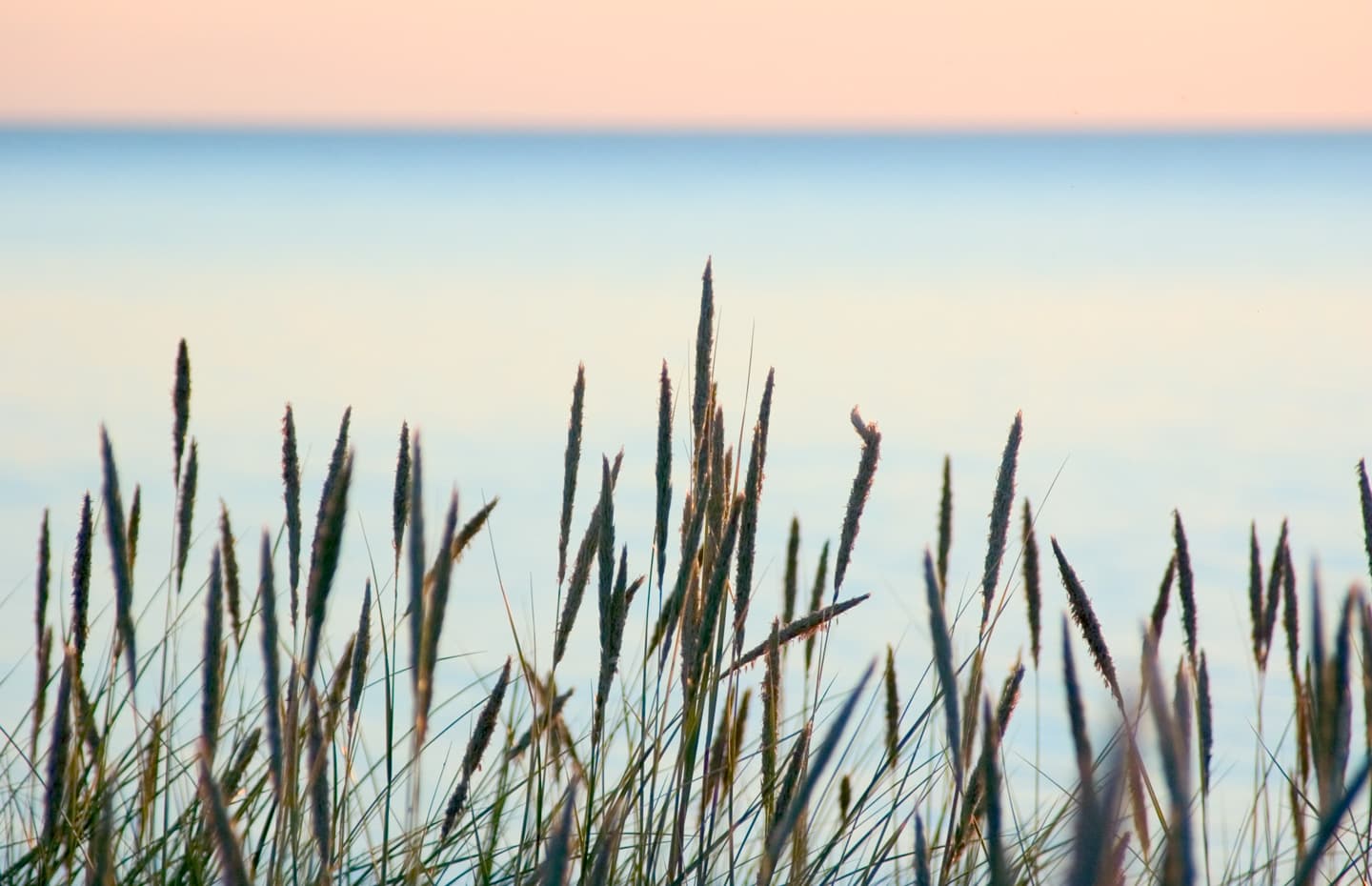 Summer beach av Kirsten Stigsgaard