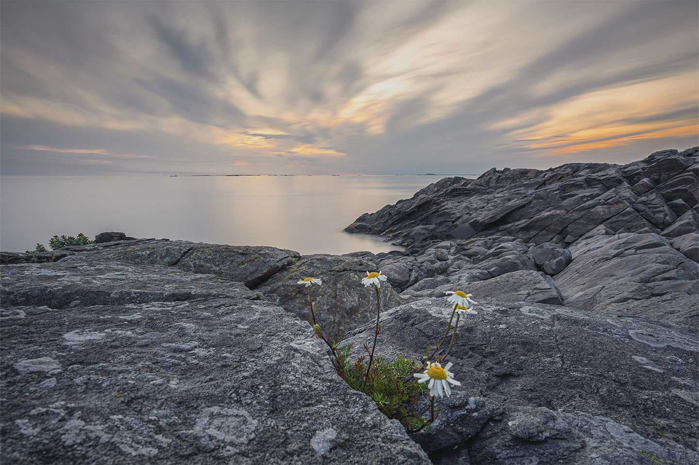 Trollhættan III av Cato Johan Rød Photography