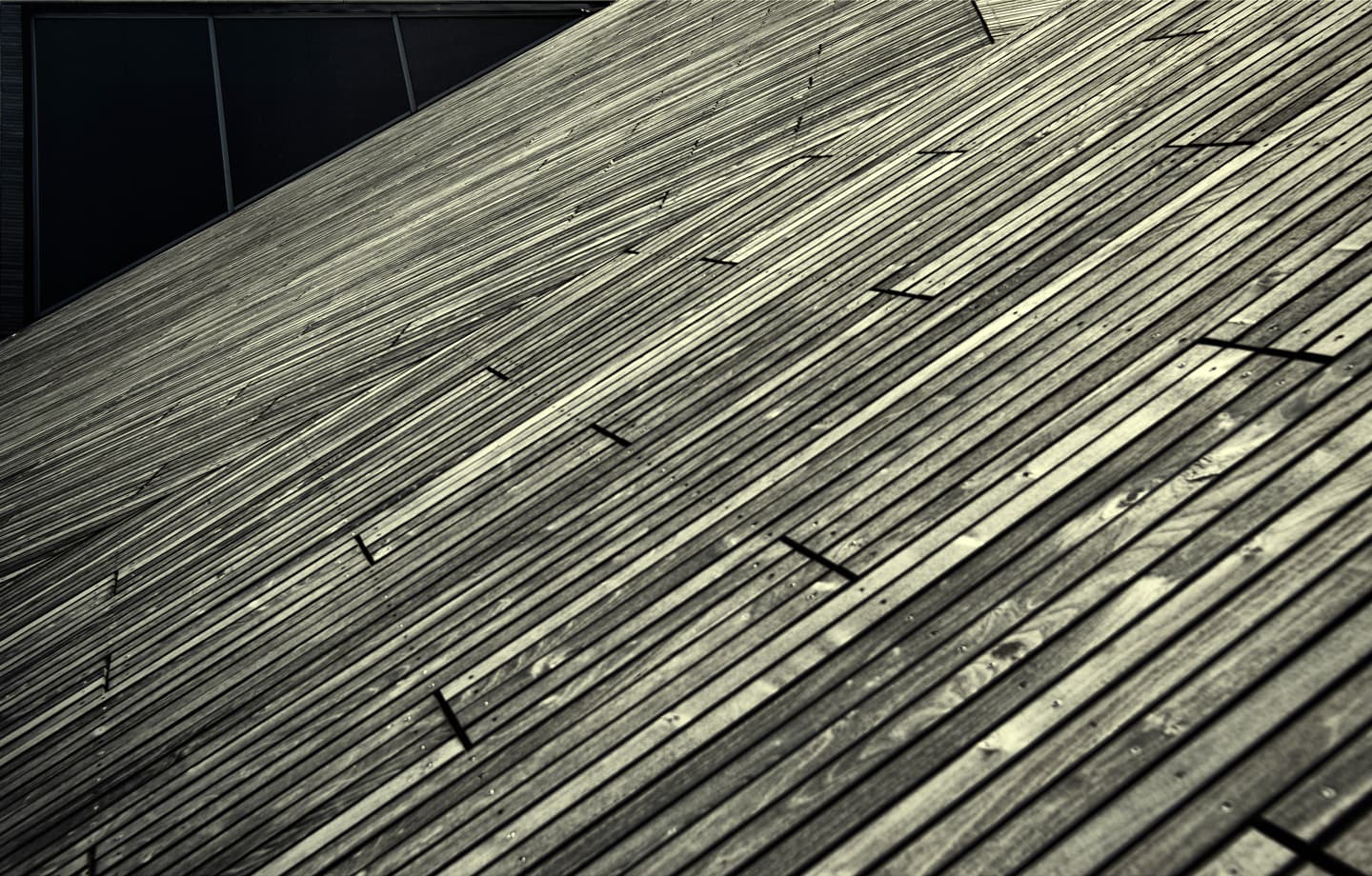 Lines av Gustavo Orensztajn