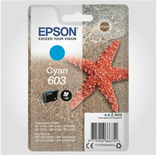 Epson 603 C, Original patron