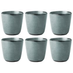 Aida RAW Mugg 0,30L 6 st Northern Green