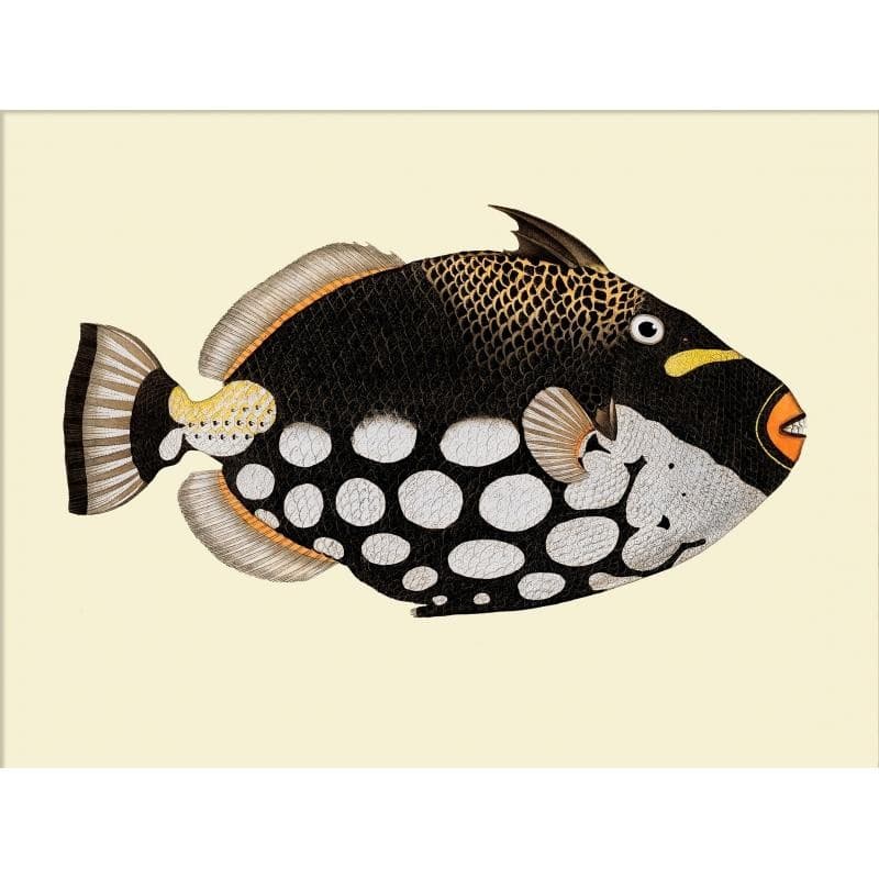 The Dybdahl Co. Dot Galore 30x40 cm. uden ramme