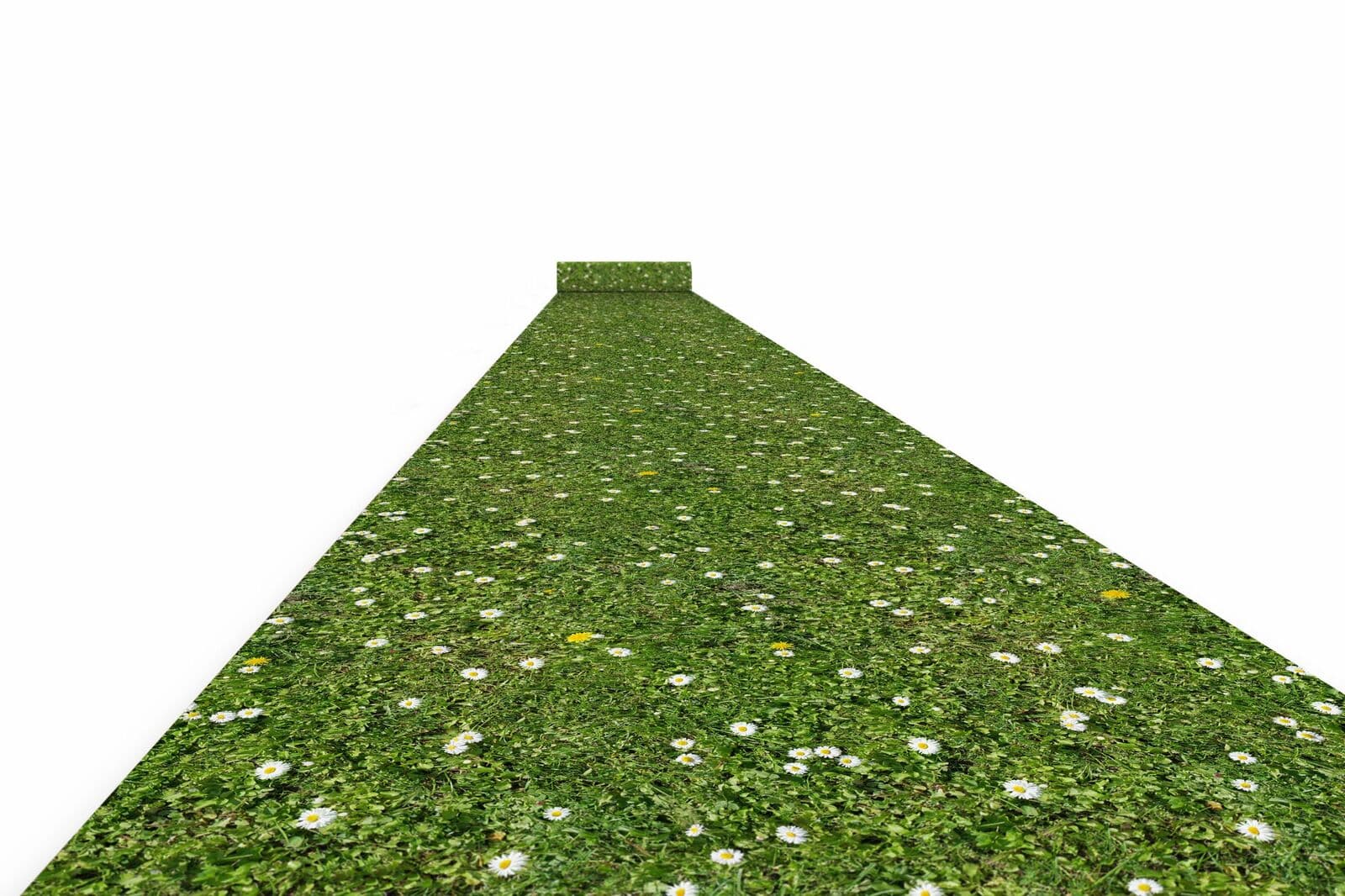 Mässmatta med tryck i nålfilt - 2x50m - Eng-meadow