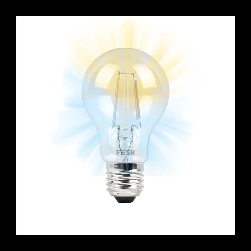 FESH Smart Home LED Pære - Kold/varm Deko E27 5,5w Klar Ø 60