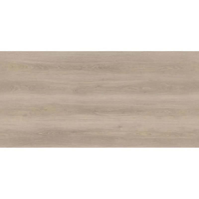Moland Bastion Vinyl - 10351262