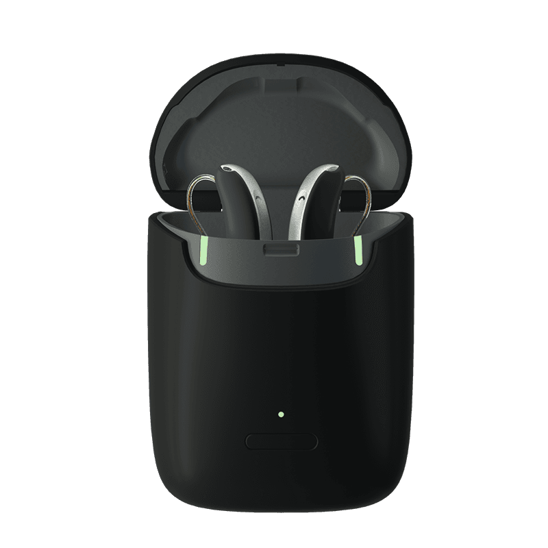Slim RIC Travel Charger 2