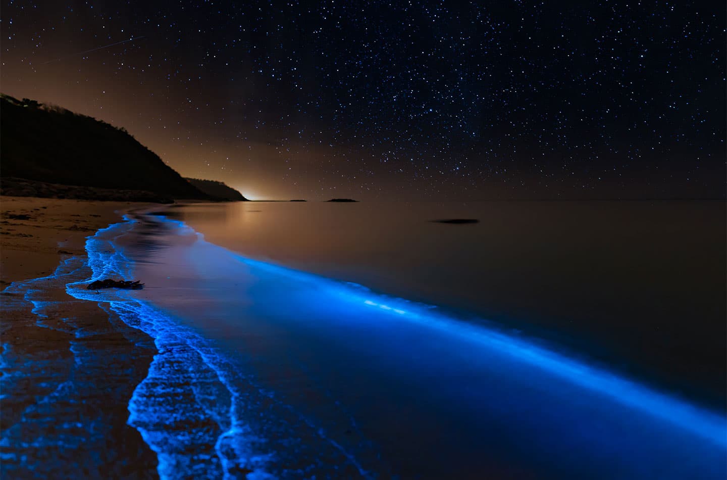 Bioluminescence at the danish coastline av Daniel Faisst