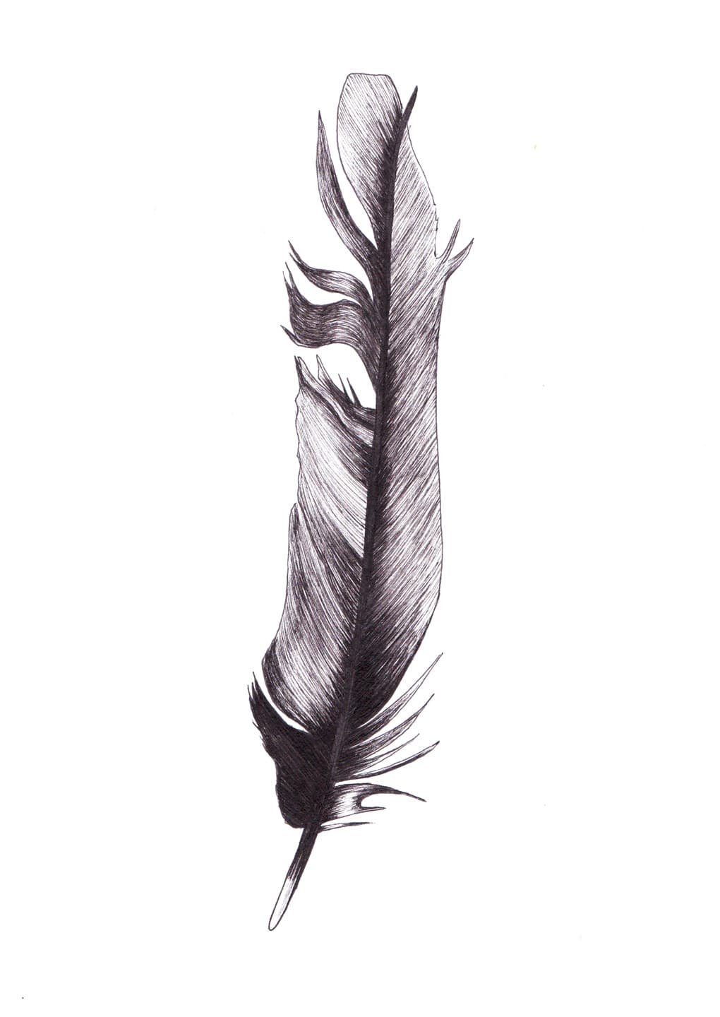 Feather av MyRo Graphics