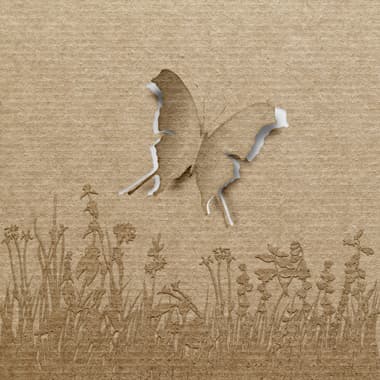 Butterfly av Jakub Stodulski