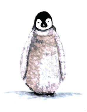 Pingu av MyRo Graphics