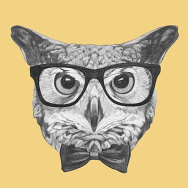 Ordinary Owl av Illux