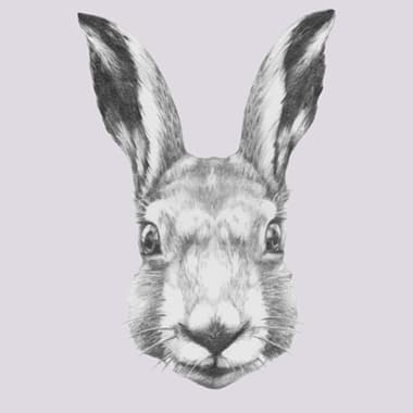 Ready Steady Rabbit av Illux