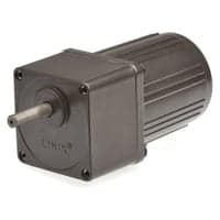Gear motor YN60 8RPM